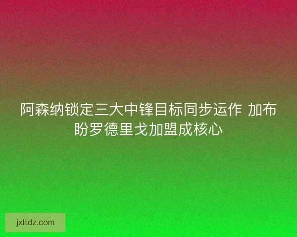 阿森纳锁定三大中锋目标同步运作 加布盼罗德里戈加盟成核心