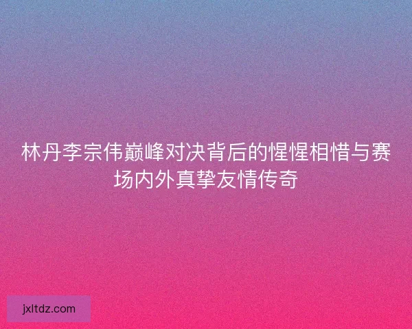 林丹李宗伟巅峰对决背后的惺惺相惜与赛场内外真挚友情传奇